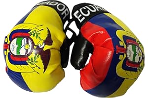 FNG MINI BOXING GLOVES Flag Mini Small Boxing Gloves to Hang Over Car Automobile Mirror - Americas