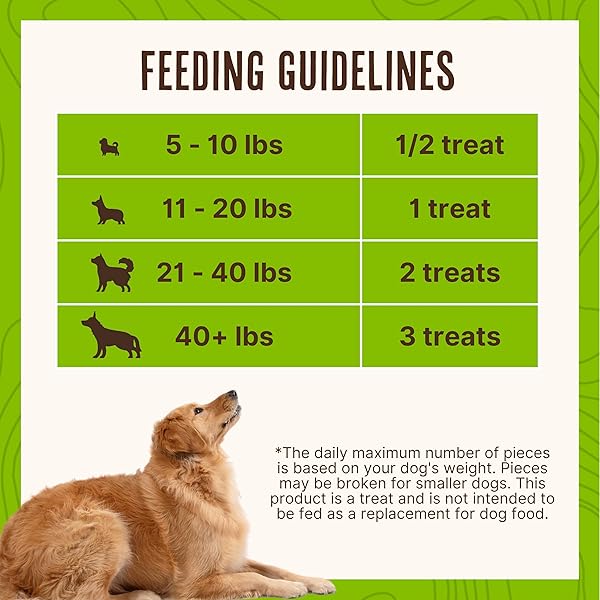 WAGGIN’ TRAIN LIMITED INGREDIENT, GRAIN FREE DOG TREAT, CHICKEN JERKY TENDERS – 11 OZ. POUCH