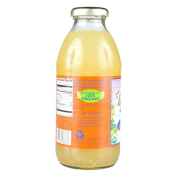 BIG ISLAND ORGANICS ORGANIC LEMOANDE WITH AGAVE, 16 FZ