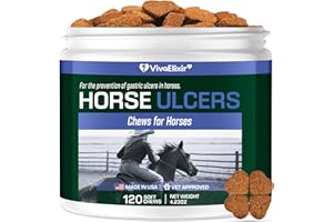 VIVAELIXIR Horse Stomach Ulcer Treatment | Helps Prevent Ulcer Relief | Equine Digestive Supplement | Maintain Gastric Health | Helps Prevent Ulcer Formation – Ulcergard for Horses
