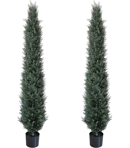 Plastic Tree door Adoreセット売り Plastic Tree door Adoreセット売り Amazon.co.jp: doorAdore