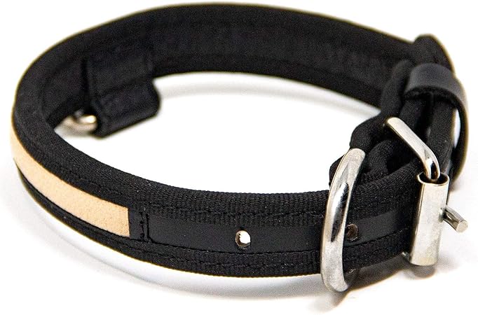 famous dog food brands