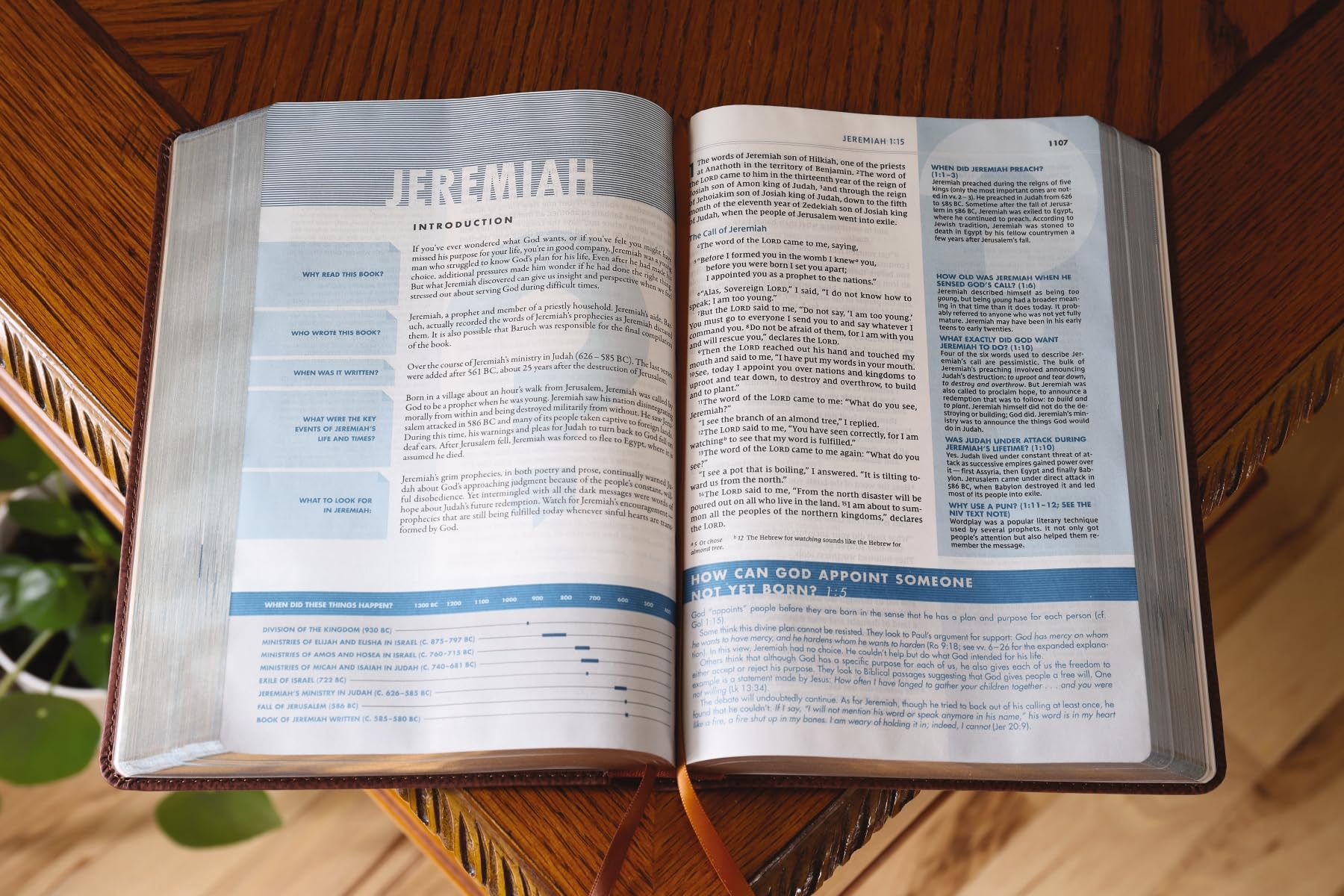 NIV, Quest Study Bible, Leathersoft, Brown, Comfort Print: The Only Q and A Study Bible