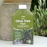 Vitax Olive Tree Liquid Feed 1 Litre Makes 50 Cans Suitable For Pots & Borders view 3