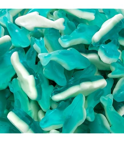 Amazon.com : Smarty Stop Gummy Bites/Fruit flavored Gummy