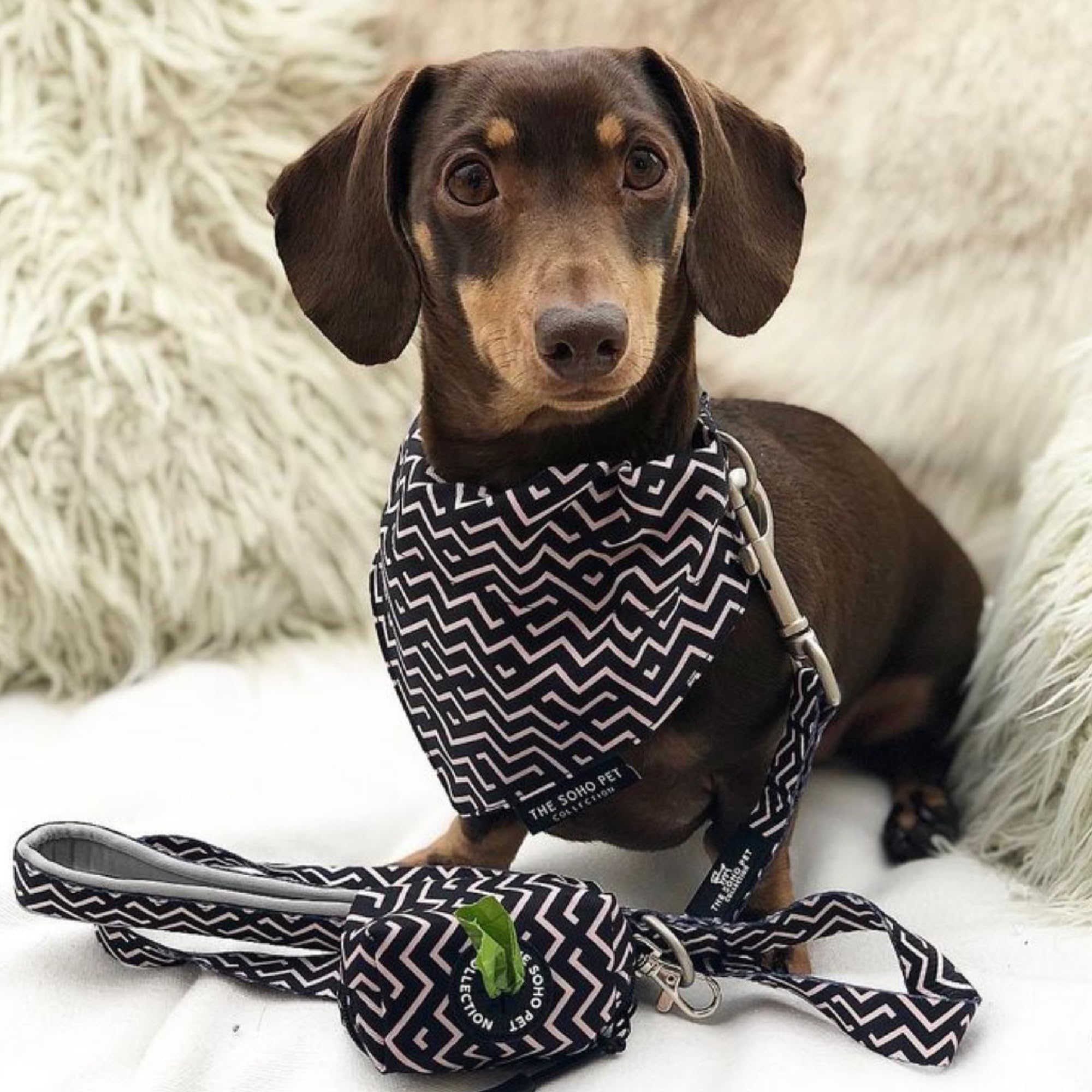 View 3