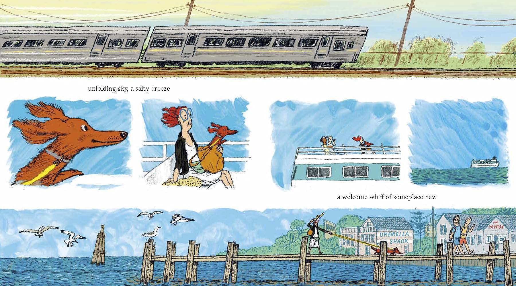 Hot Dog: (Winner of the 2023 Caldecott Medal)