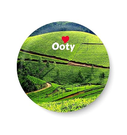 PEACOCKRIDE Metal Love Ooty Magnet (Multicolour)