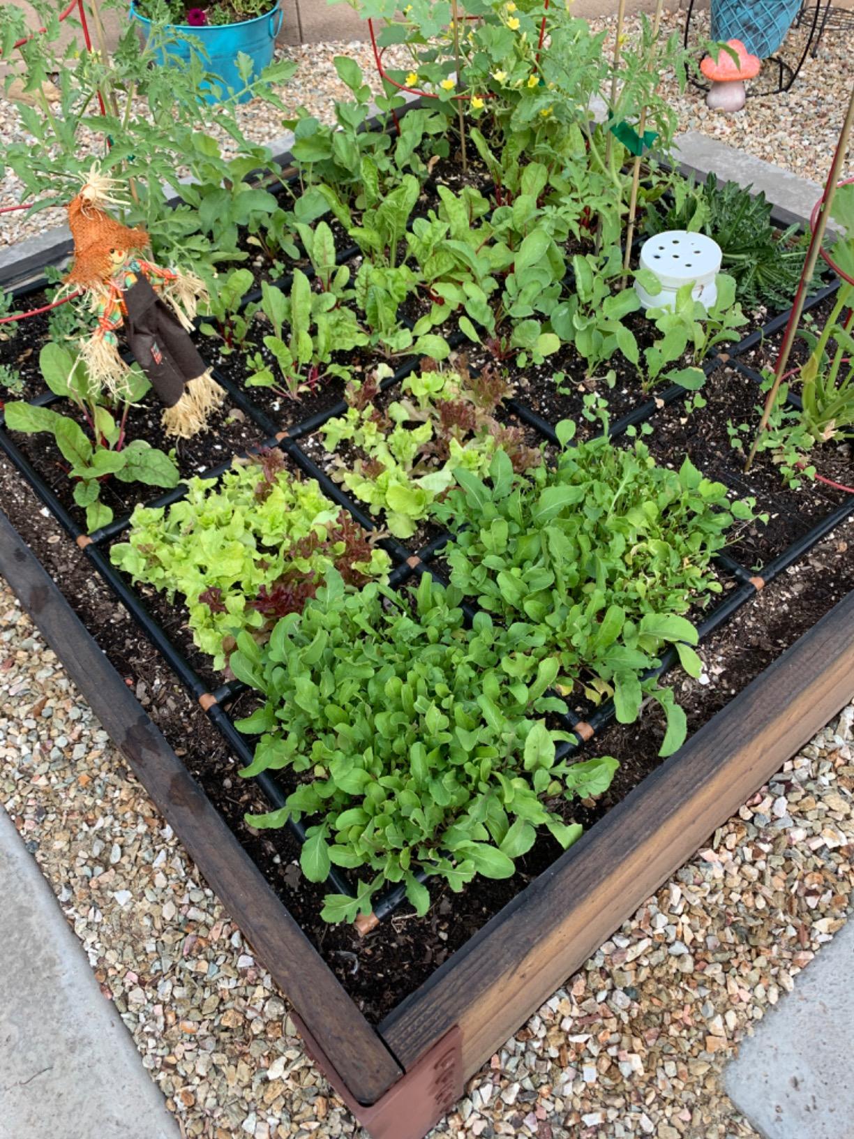 6/mo Finance MultiGarden Grid Connection Manifold Connect Two