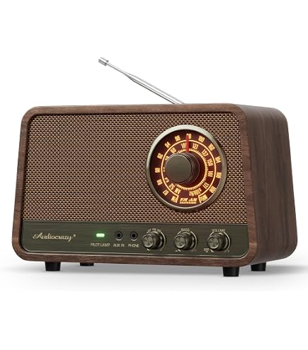 Amazon.com: LoopTone FM AM Radio Retro Wood Radio with Bluetooth