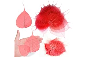 GSZN Red Dried Skeleton Leaves for Resin, 42PCS Natural Real Pressed Dry BodhiSkeleton Leaf Vein for Resin Mold Art DIY Craft Candle Making Phone Case Home Wedding Decor