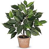 Fake Plant 13" Small Artificial Ficus Plant Faux Ficus Plants Banyan Tree with Rustic Terracotta Pot Silk Plants for Home Decor Indoor Office Living Room Bedroom Shelf Table Centerpieces