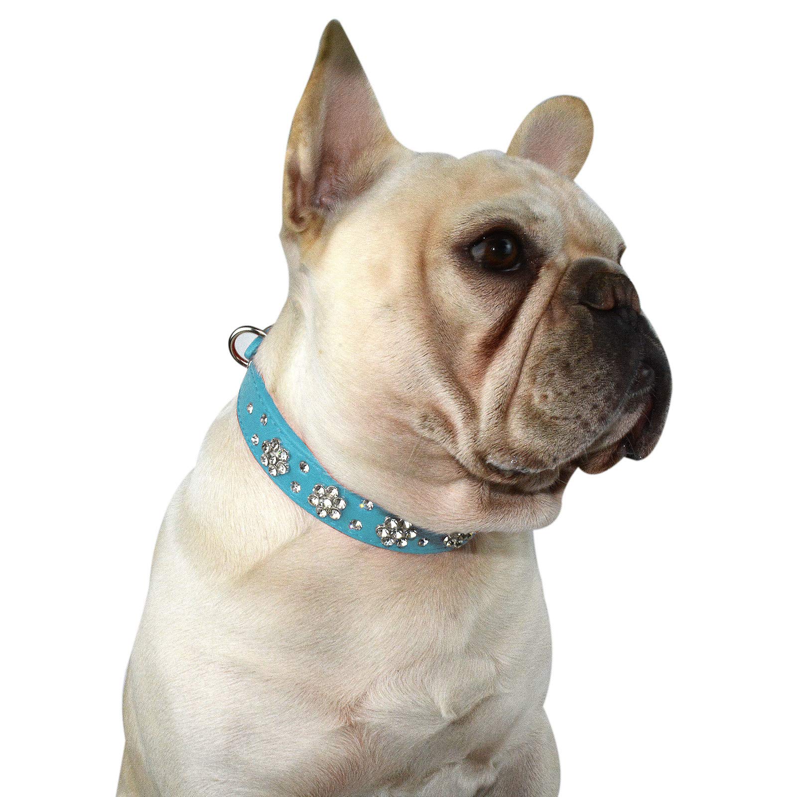 Hifrenchies Cute Rhinestone Flower Pattern Studded Dog Collars, PU Leather Bling Crystal Diamonds Collar for Frenchie Bulldog/Small Medium Dog Cat(S,blue)