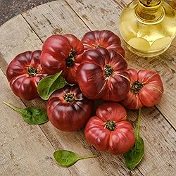 Back to the Roots 100% Organic Seed Packet - Tomato