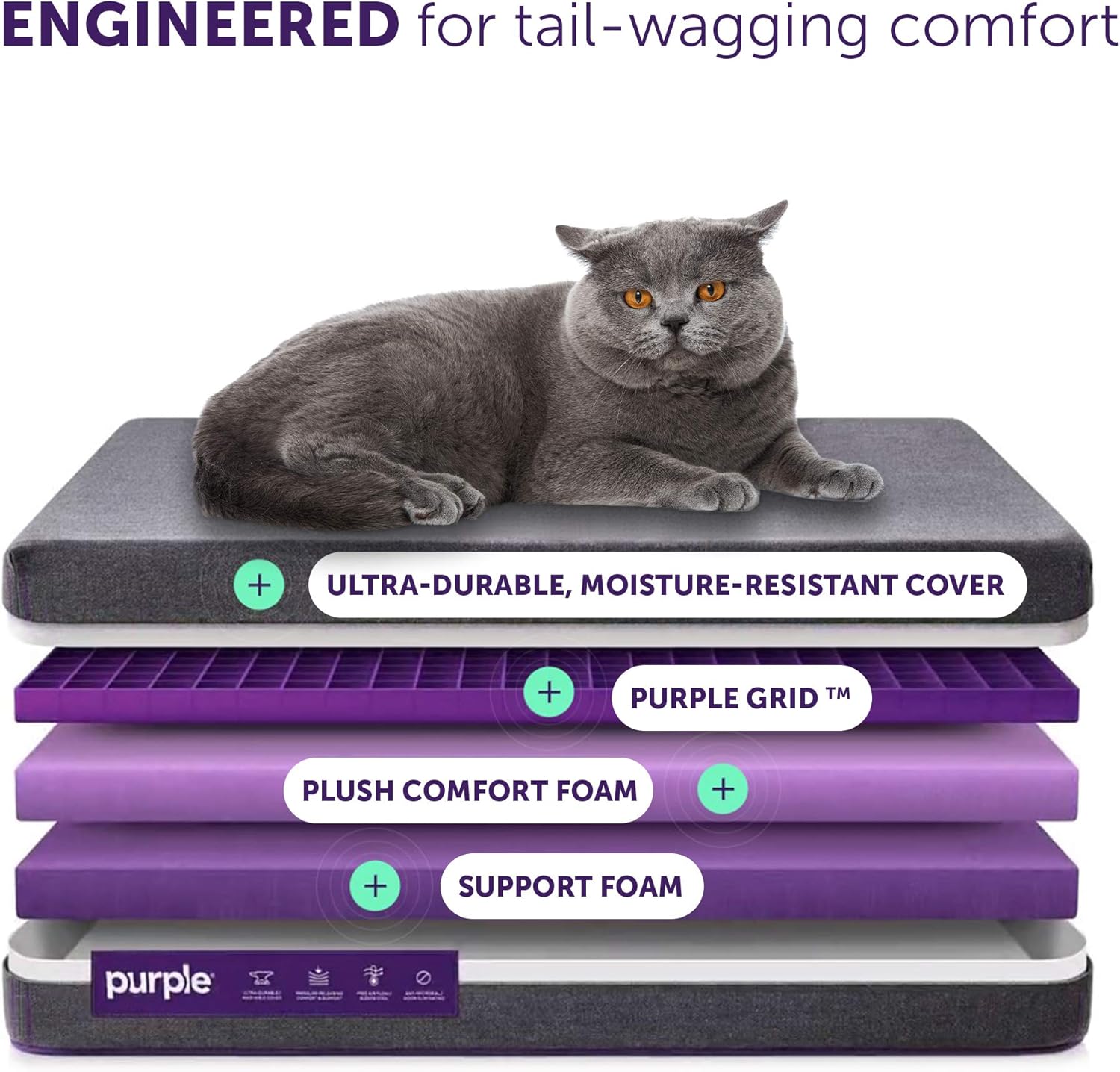 purple mattress dog bed