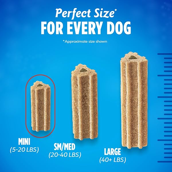 DENTALIFE ACTIVFRESH PACK OF 2 DOG CHEWS FOR SMALL DOGS, DENTAL CHEWS TO FRESHEN BREATH, CHICKEN FLAVOR, 13.5 OZ. EACH, 45 EACH/90 TOTAL – 45 CT. POUCH
