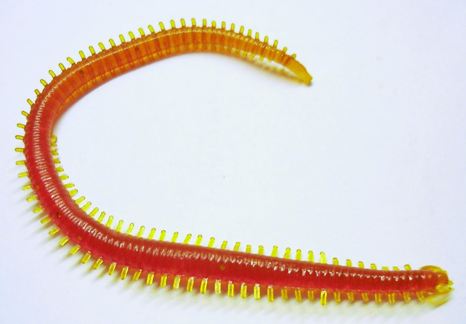 Conx2 Fish Rag Worm Soft Baits 140mm Highly Realistic Styles and