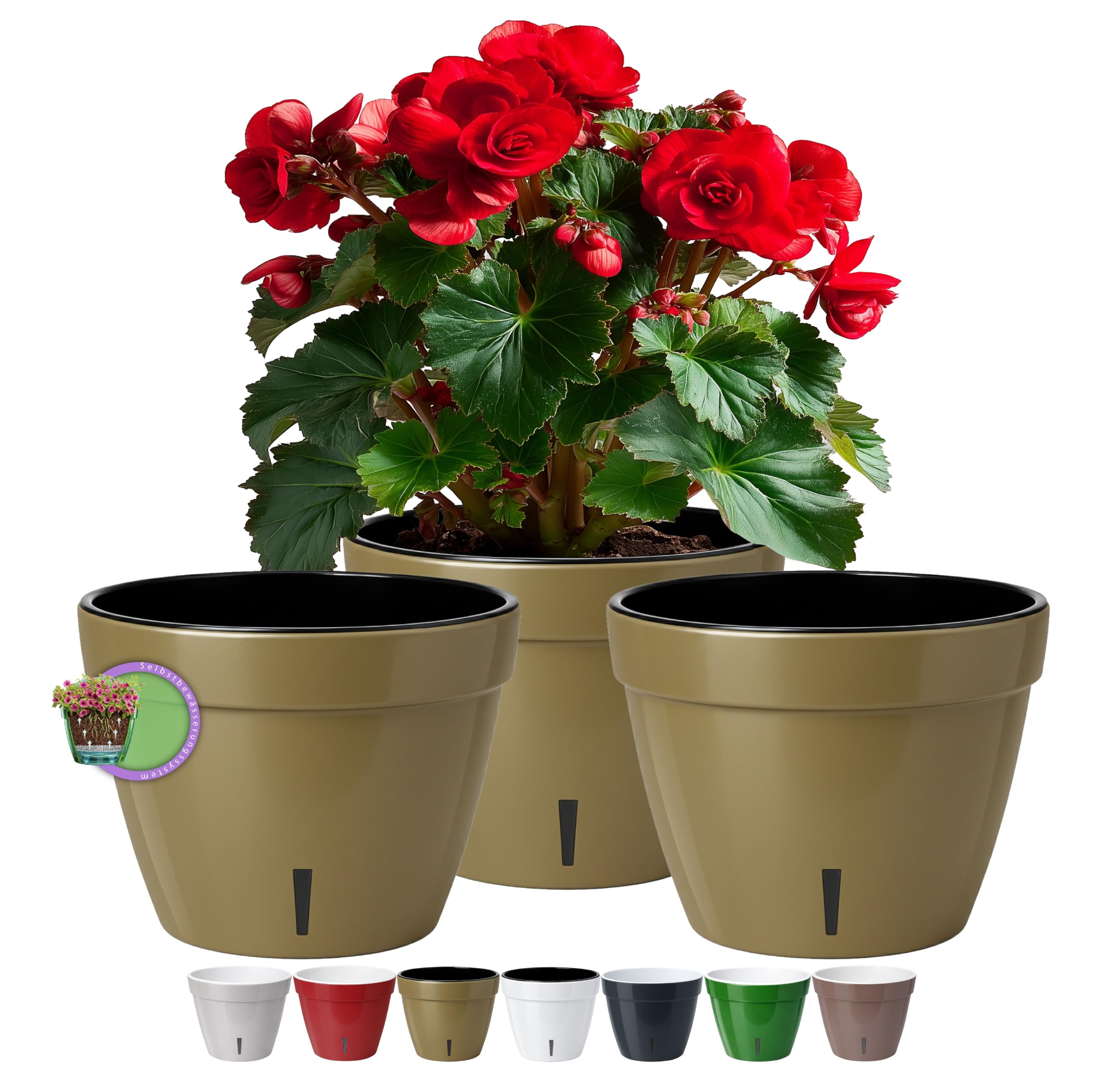Santino ASTI 7.9 Inch Self Watering Planters (SET OF 3) for Indoor Plants - Modern Flower Pots w/Water Level Indicator for All Plants, African Violets and Dahlias - (Ø 7.9 Inch, 4 L, GOLD/BLACK)