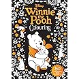Winnie the Pooh: Adult Colouring Book (Disney): unknown author ...