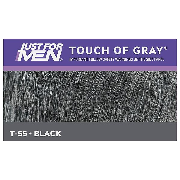 JUST FOR MEN BLK/GRY SIZE 1.4Z JUST FOR MEN TOUCH OF GRAY BLACK – GRAY HAIR COLOR