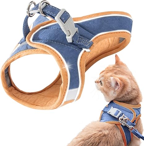 Geeric Harnais Et Laisse Pour Chat Veste De Marche Confortable Pour Chat Avec Laisse Harnais De Gilet A Enfiler Bandes Reflechissantes Respirantes Veste Pour Petits Chats Moyens Bleu Moyen Amazon Fr Animalerie