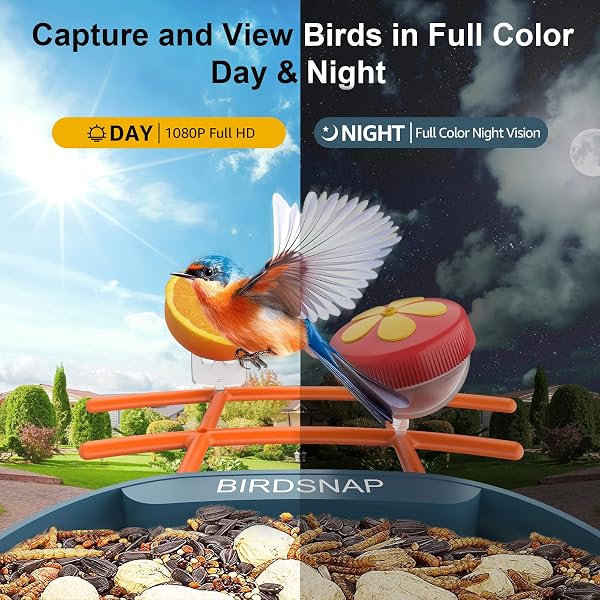 BIRDSNAP® PAV- SMART BIRD FEEDER WITH CAMERA SOLAR POWERED, 64GB CARD & 2K HD RECORD VIDEO BIRD CAMERA LIVE WITH 5 DIY ADD-ONS, AI IDENTIFY AUTO CAPTURE, IDEAL GIFT FOR BIRDS LOVER