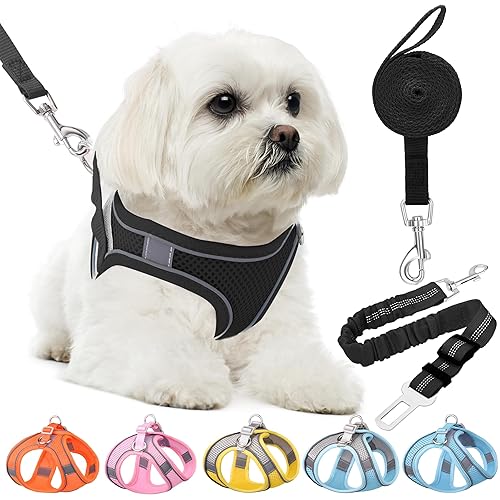 Breathable Mesh Dog Harness Cool Mesh Dog Harness With Leash Blue