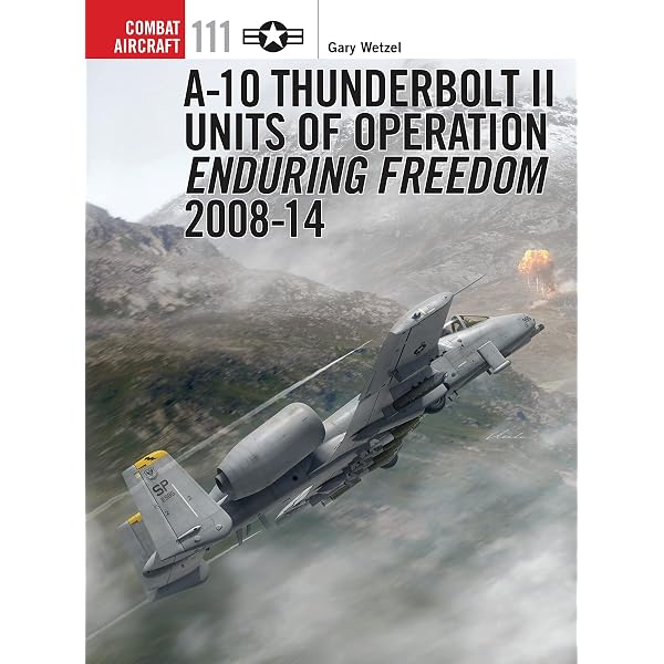 F-14 Tomcat Units of Operation Enduring Freedom (Combat Aircraft