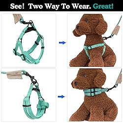Pawaboo Dog Leash Harness Set, Durable Adjustable