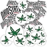 Desert Cactus The Ohio State University Sticker OSU Buckeyes Vinyl Decals Laptop Water Bottle Car Scrapbook Sheet T1 (Type 1-2)