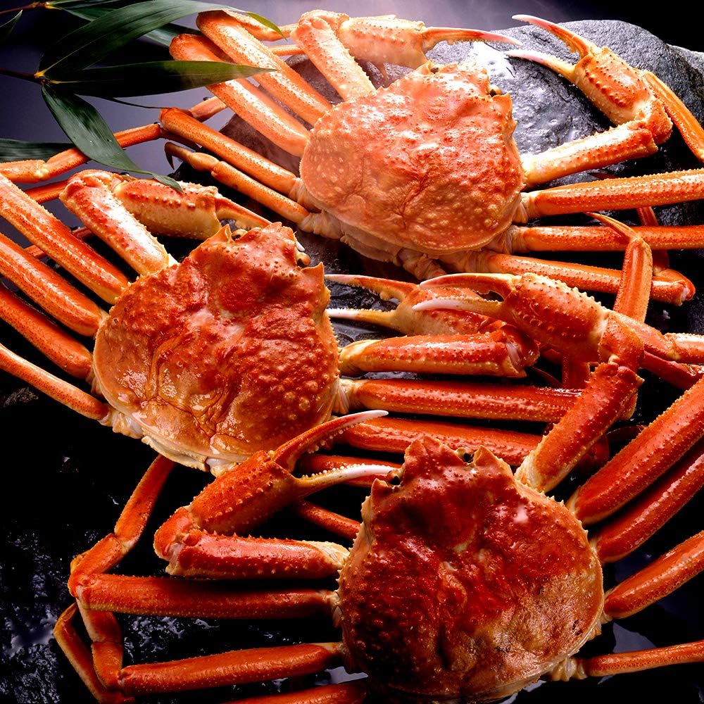 Amazon 海夢 ズワイガニ 超特大 希少ジャンボサイズ 贈答 ギフト 天然 ずわい蟹 姿 約1 3kg 2尾 海夢 カニ 通販