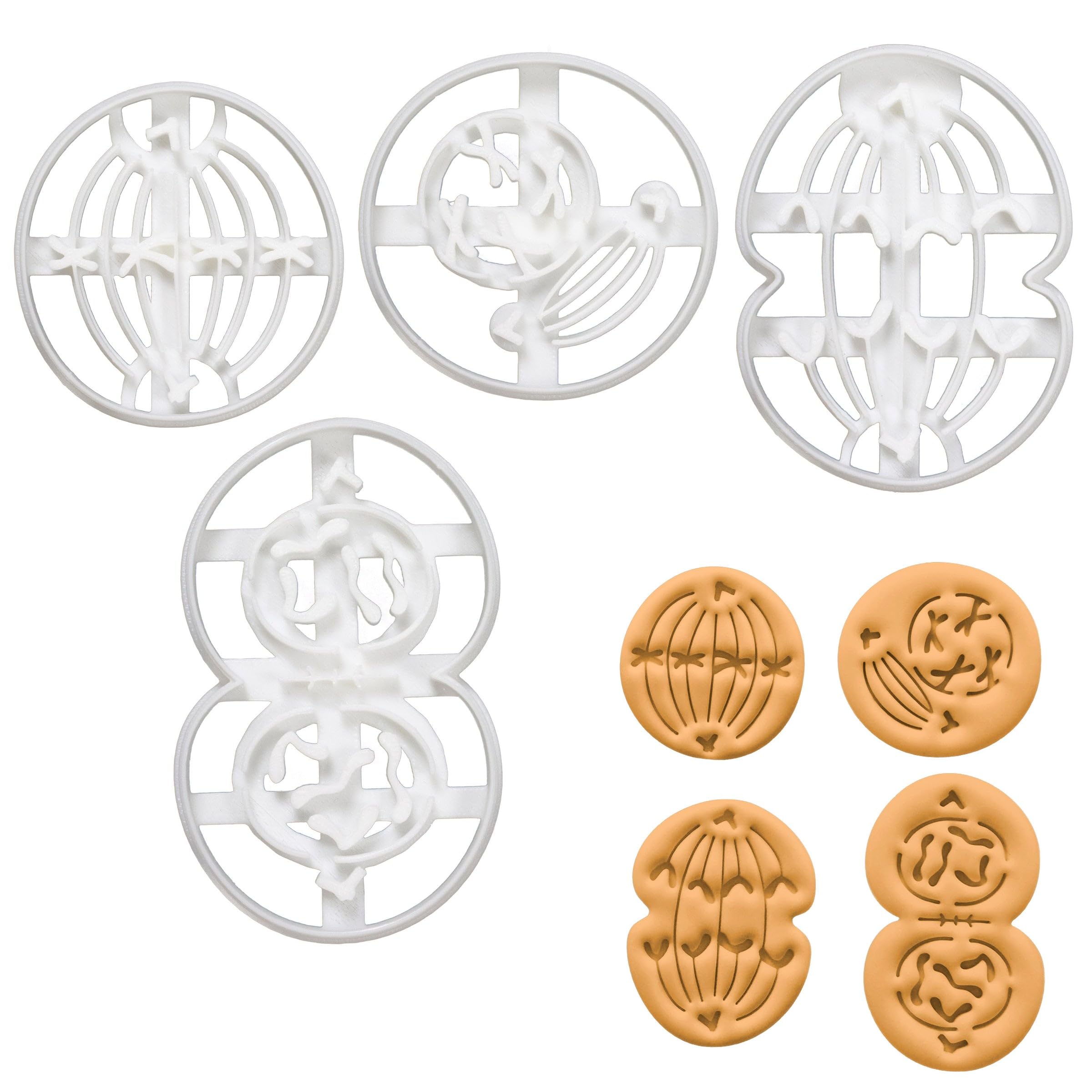 BAKERLOGY Set of 4 Mitosis Cookie Cutters (Designs: Metaphase, Anaphase, Prophase, Telophase) - Detailed Biscuit Cutter Design for Baking and Crafts, Ideal on Fondant, Dough, Clay