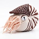 Lifelike Chambered Nautilus Plush Toy - Realistic Prehistoric Sea Creature Stuffed Animal for Marine Decor