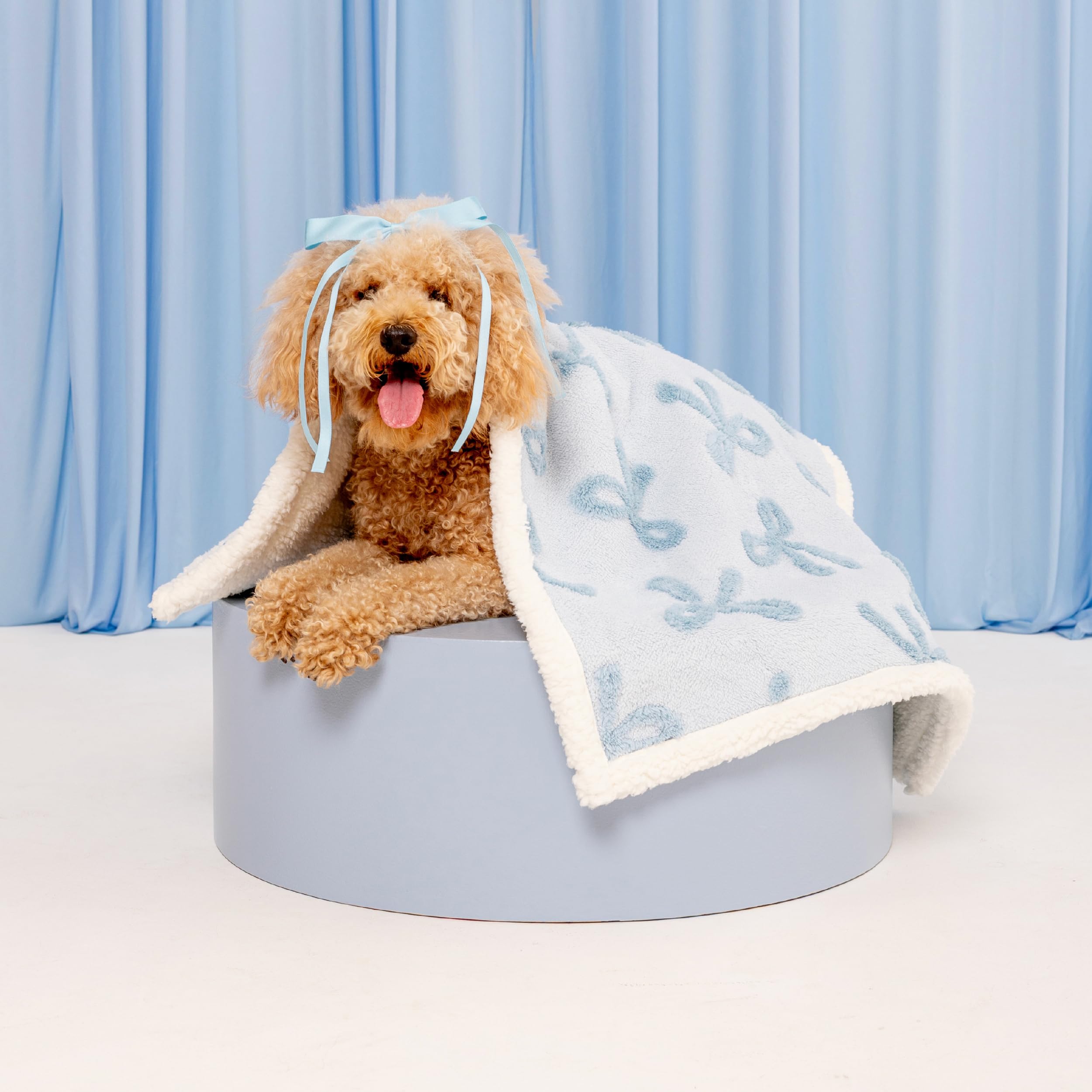 Photo 1 of Lesure Waterproof Puppy Blanket for Small Dogs - Washable Double Sided Dog Blankets with Warm Jacquard Shag and Soft Sherpa Fleece, Pet Cat Blanket for Couch Protection, Bow Design, Ice Blue