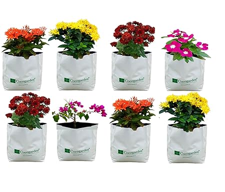 Cocogarden Medium Size Poly Grow Bags 24 x 24 x 40 cms, White, Pack of 8