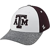 ZHATS NCAA Unisex-Adult NCAA Officially Licensed Hat Fitted Ally