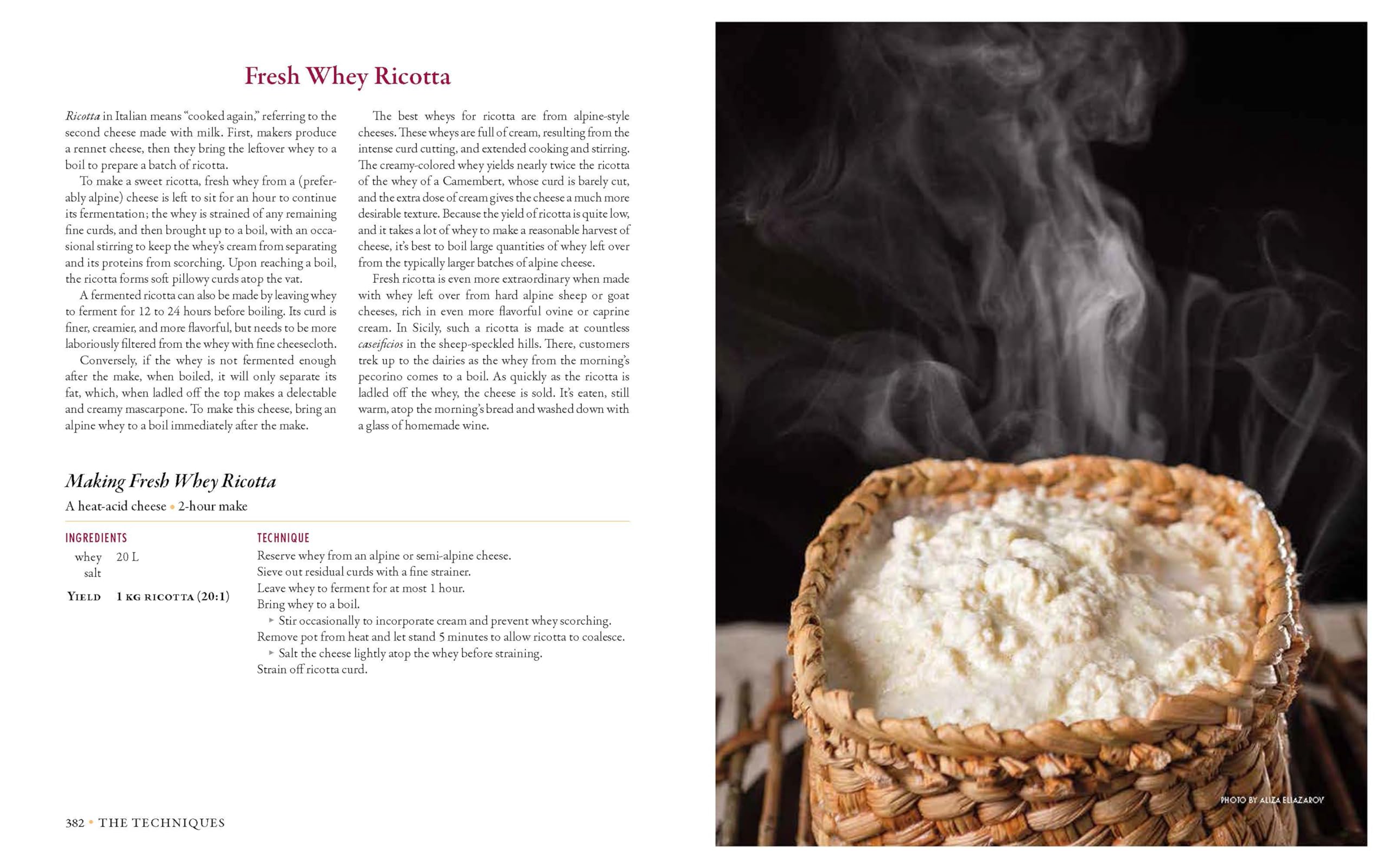 Milk Into Cheese: The Foundations of Natural Cheesemaking Using Traditional Concepts, Tools, and Techniques