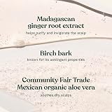 The Body Shop Ginger Anti-Dandruff Shampoo 400ml view 3