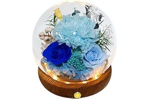 Valley of Rain & Forest Long-Lasting Real Flowers, Unique Floral Gift for You to Send Love for All Occasions, for Indoor Deco