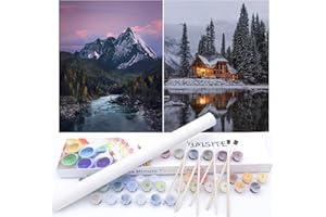 BAISITE Paint by Numbers Kit for Adults Beginners,12" Wx16 L 2 Pack Canvas for Painting Kits for Adults in Colorful Box-PBN219-220