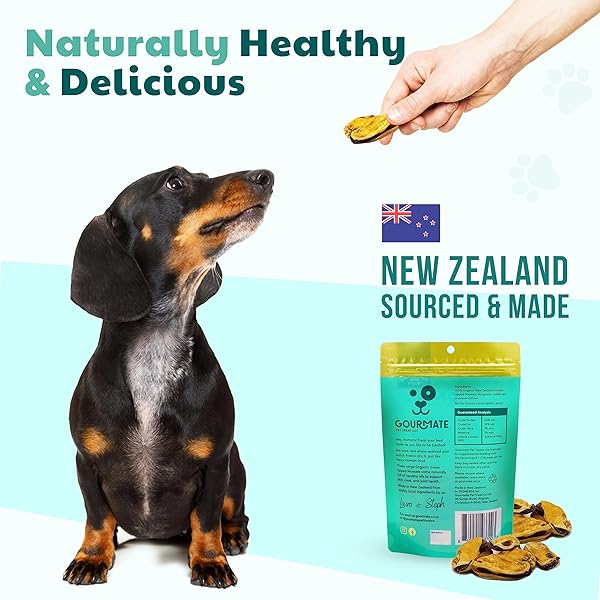 GOURMATE PET TREAT CO. GREEN LIPPED MUSSELS FOR DOGS – HUMAN GRADE DOG TREATS – 100% NATURAL, FREEZE DRIED SNACK WITH OMEGA-3, GLUCOSAMINE & CHONDROITIN FOR HEALTHY COAT & JOINT SUPPORT – 50G/1.76OZ