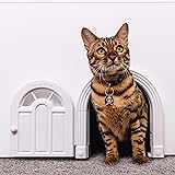 custom cat door