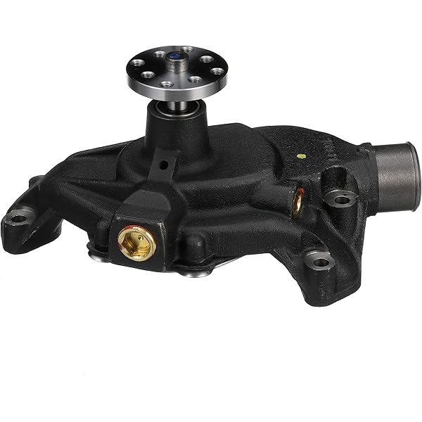 Amazon.com: Mercury Marine Mercruiser New OEM Circulating Water 