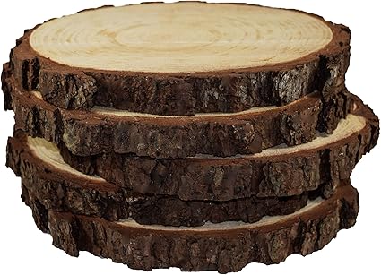 Amazon Com 5 Pack Round Rustic Woods Slices 9 12 Unfinished