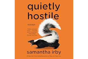 Quietly Hostile: Essays