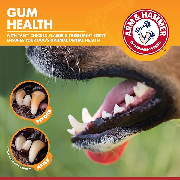 ARM & HAMMER FOR PETS CLINICAL CARE DENTAL GUM HEALTH KIT FOR DOGS | CONTAINS TOOTHPASTE, TOOTHBRUSH & FINGERBRUSH | SOOTHES INFLAMED GUMS, 3-PIECE KIT, CHICKEN FLAVOR