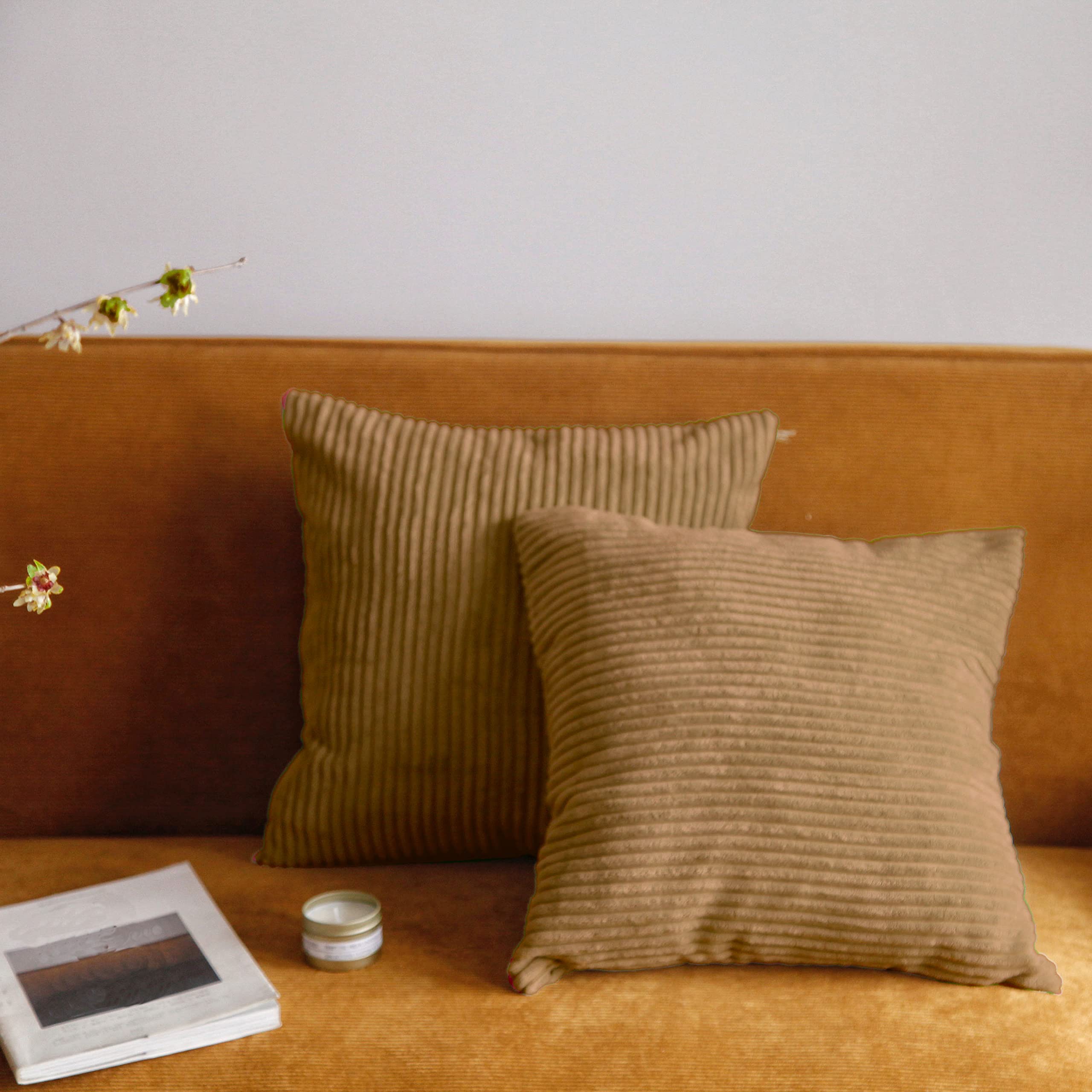 Pagnanno. Set of 2 Soft Velvet Cushion Covers 45x45cm(18x18 Inches) Corduroy Throw Pillowcases Cushion Covers for Chairs,living room,bedroom with Invisible Zipper (18"x18" (Pack of 2), Biscuit)