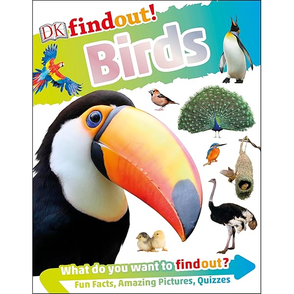 DKfindout! Forest: DK: 9780241284971: Amazon.com: Books
