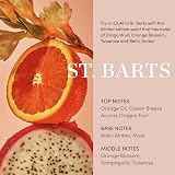 OUAI Body Cream St. Barts Hydrating Whipped Body Cream 212g Cupuaçu Butter view 4