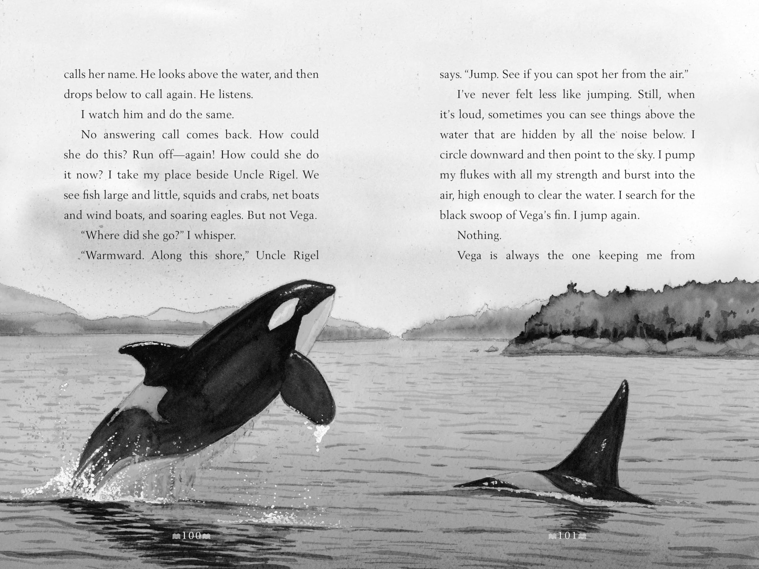 A Whale of the Wild: A Thrilling Tale of An Orca’s Journey Across the Oceana Stand-Alone Companion to the New York Times Bestselling A Wolf Called Wander (A Voice of the Wilderness Novel)
